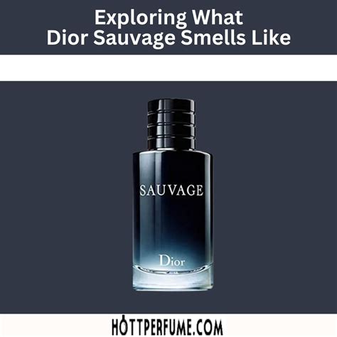 colognes like dior sauvage|cologne that smells like sauvage.